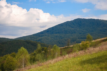 Fototapeta na wymiar landscape in the Carpathian mountains near Svalyava, Ukraine