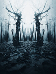 dark scary forest scene with haunted trees