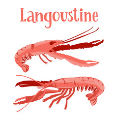 Seafood healthy nutrition product. Fresh delicious langoustines.