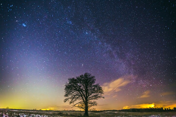 Naklejka na ściany i meble Landscape of zodiacal light with stars and a tree