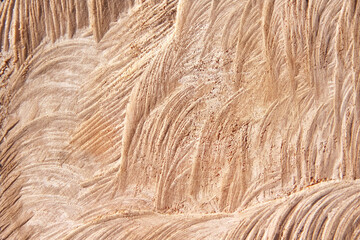 Wood cross section wall texture with wave patterns nature for brown background