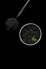 Expensive black sturgeon caviar i