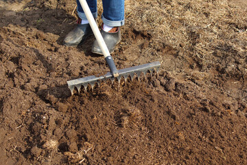 Loosening the earth with a rake in the garden. Leveling the soil. Selective focus. Close-up....