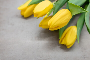 Beautiful yellow tulips on a gray textured background, on a dark gray marble. Bouquet of yellow flowers with green leaves on a gray background. Spring yellow-gray-green bouquet.