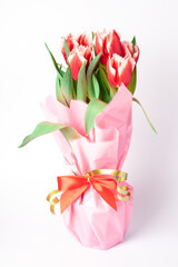 Spring flower red white tulips bouquet isolated on white