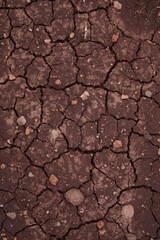 Crack and dry black land