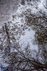 Colorful reflection of the environment on the water surface