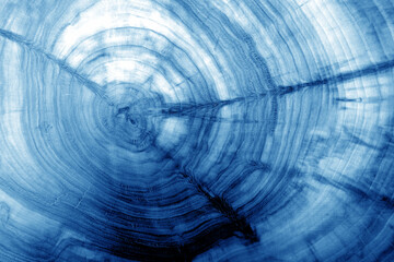 Wooden board texture with blur effect in navy blue tone.