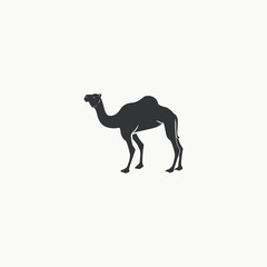 Camel icon graphic design vector illustration