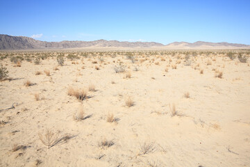 Fototapeta na wymiar Heart of Mojave desert in California, USA