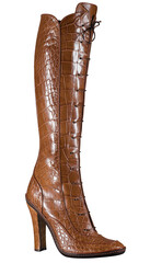 Fashionable women boots for all seasons. Studio shoot