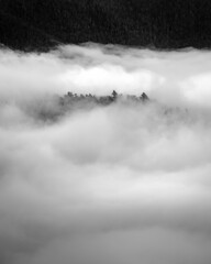 A small ridge line of trees pokes through a sea of fog on a weather filled Winter day in Shenandoah National Park.