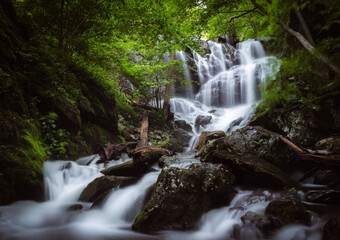 Lower Doyles River Falls in Shenandoah National Park during the Spring looks more like a jungle than an east coast forest.