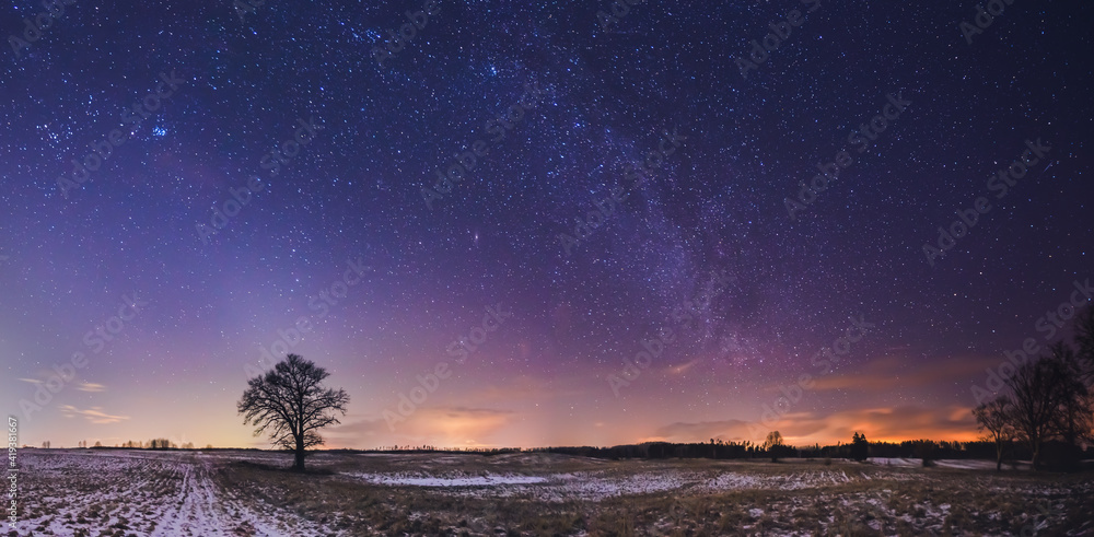 Wall mural landscape of zodiacal light with stars and a tree
