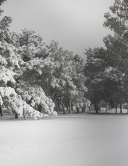 Snow Athens Greece 2021   