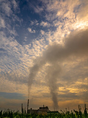 Smoke from the boiler stack and the vapor from a cooling tower in the power plant