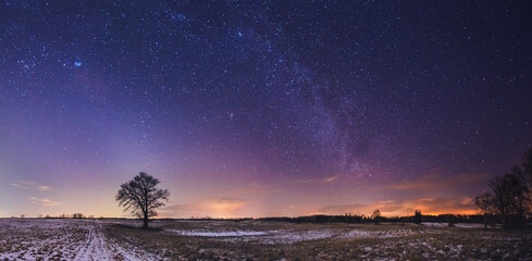 Landscape of zodiacal light with stars and a tree