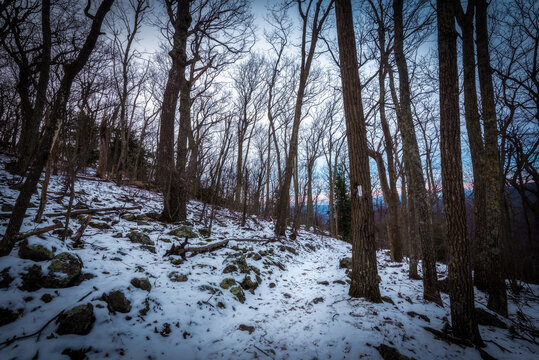 The Appalachian Trail covered in snow and ice in Shenandoah National Park at dusk.
