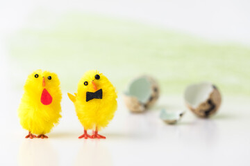 Concept of easter. Two chickens hatched and went for a walk. Broken shell in the background