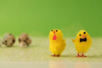 Concept of easter. Two chickens hatched and went for a walk. Broken shell in the background