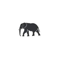 Elephant icon graphic design vector illustration