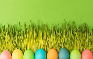 Spring Easter concept. Multicolored chicken-colored eggs lie on the luscious young grass.