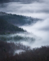 A foggy Winter day in Shenandoah National Park that perhaps resembles the Pacific Northwest more so than the east coast Appalachian Mountains.