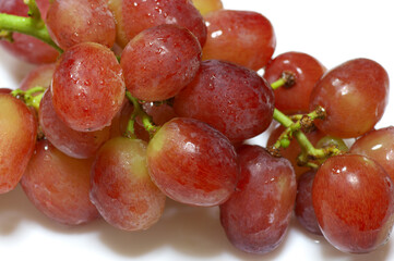 赤ぶどう