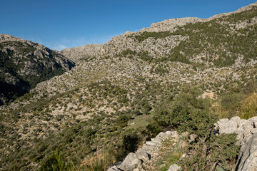 Fototapeta na wymiar traditional cobblestone path, Sa Pica des Garrover, Tossals Verds section, lloseta, Mallorca, Balearic Islands, Spain