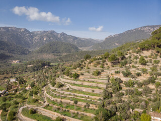 bancales de Es Moleto, Bunyola, Mallorca, Balearic Islands, Spain