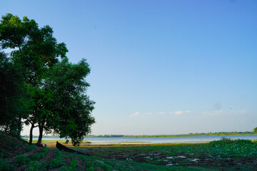 Colorful sunset with tree silhouette