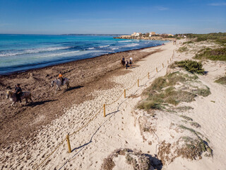 horses on the beach, Ses Covetes Es Trenc, Campos del Puerto, Mallorca, Balearic Islands, Spain