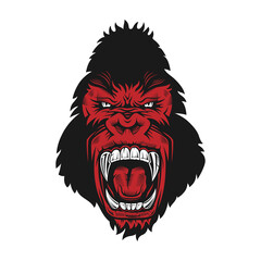 Ferocious gorilla head. Vector illustration on white background.