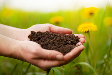 Black wet soil in hands, close-up. Check natural compost.