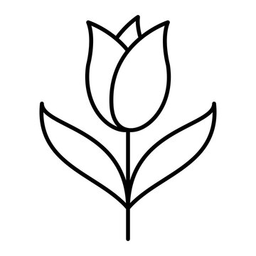 Vector Tulip Outline Icon Design