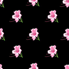 Seamless pattern with pink rhododendron flowers on black background. Hand drawn in colored pencils. Tender and romantic design perfect for wedding invitations, postcards, wrapping paper, scrapbooking