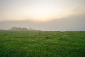 foggy morning in the Carpathian mountains near Svalyava, Ukraine