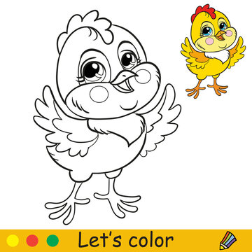 Cute chicken coloring with colorful template vector