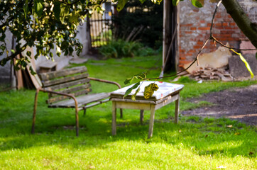 Obraz na płótnie Canvas Old table and bank in nature
