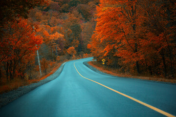 Golden colours of Muskoka, Ontario, Canada; a road trip to Ontario's one of the best cottage sides. Vibrant warm Fall colours juxtaposing a rainy cool day. 