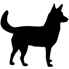 Dog icon. Simplified picture for signs.