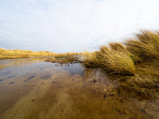 Eierland, Texel