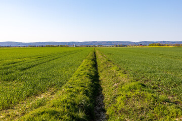 Graben zur Entw&auml;sserung von Feldern in der Landwirtschaft