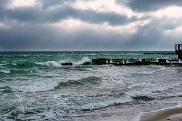 black sea in winter. seagulls fly in the sky. storm.