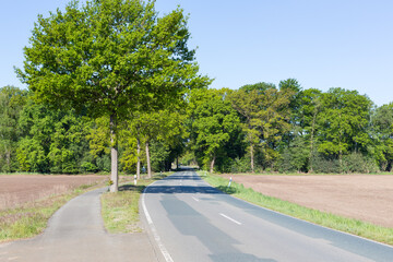 Langgezogene Kurve einer Landstraße mit Radweg und Baumbestand