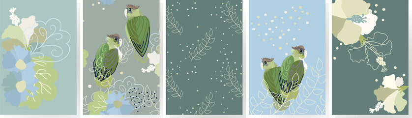 set of vector illustration with birds, flowers, splashes, branches in a doodle style. Suitable for backgrounds, greeting cards, invitations.