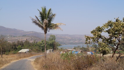 Beautiful road surrounded by lush trees on both sides