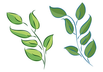 Vector illustrations of  cute green leaves. Spring, summer.Composition for greeting and visit cards, posters, invitations, art prints, wedding, banners, logo. Romantic garden. Flora. Branch