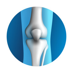 Knee synovial joint 3D icon