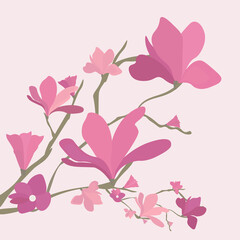 Vector illustration of pink Magnolia.Isolated flowers element. Flat cartoon art style. Branch spring plant, large bloom.Purple. Color. Asian flora. For textile prints, wrapping paper, banners, posters